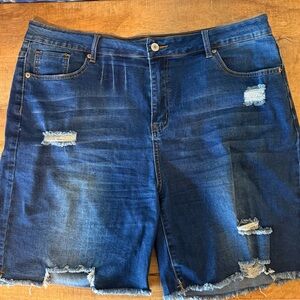 Classic Denim Distressed Women Shorts